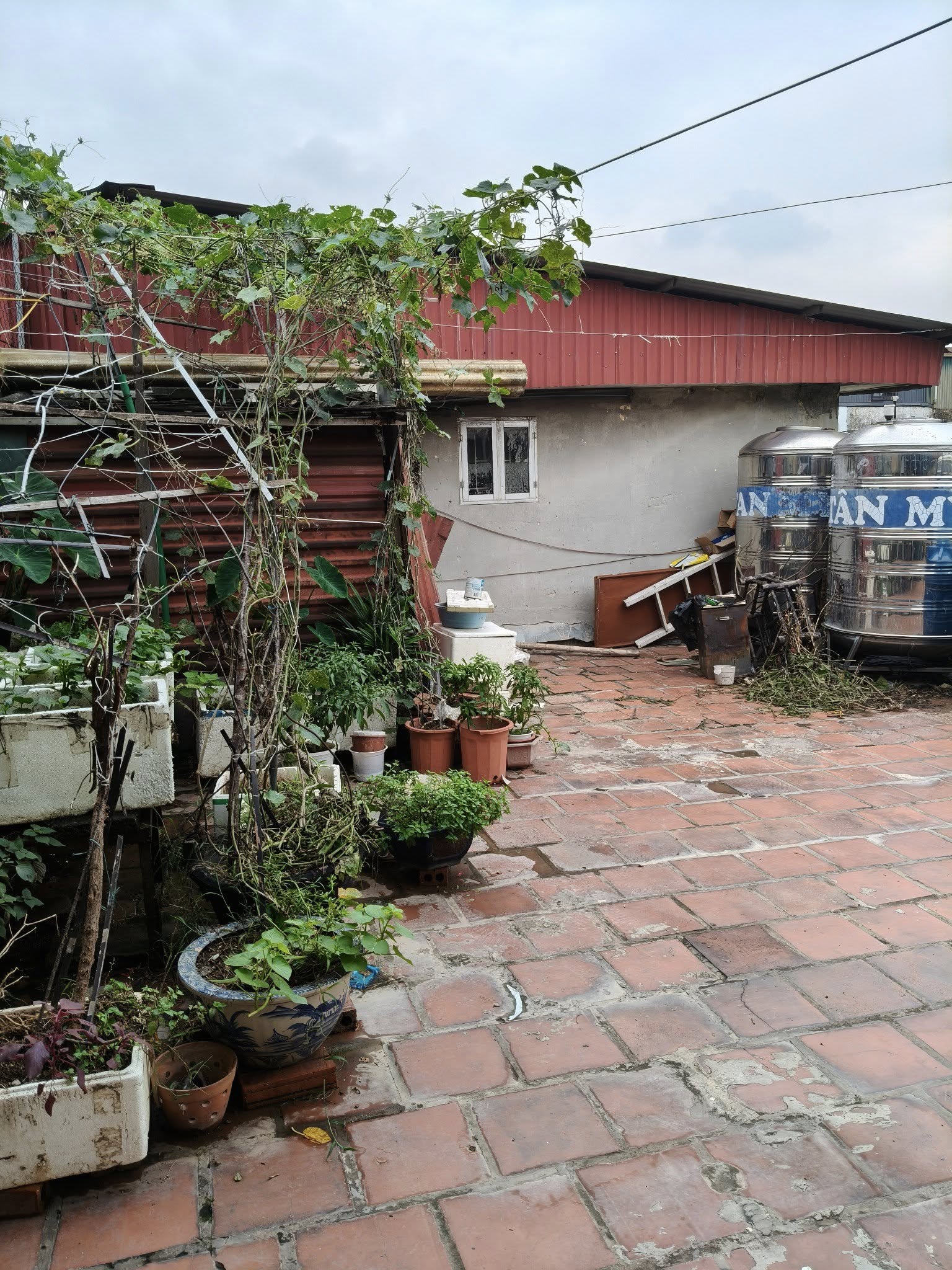 Bán nhà Tập thể Lò Đúc, P. Phạm Đình Hổ, 3,25 tỷ, 90m2 - Ảnh 4